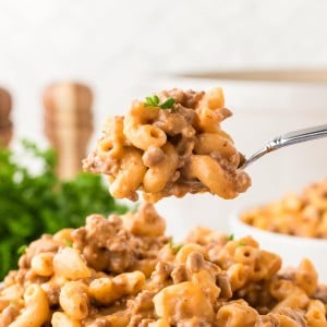 A forkful of Hamburger Helper.