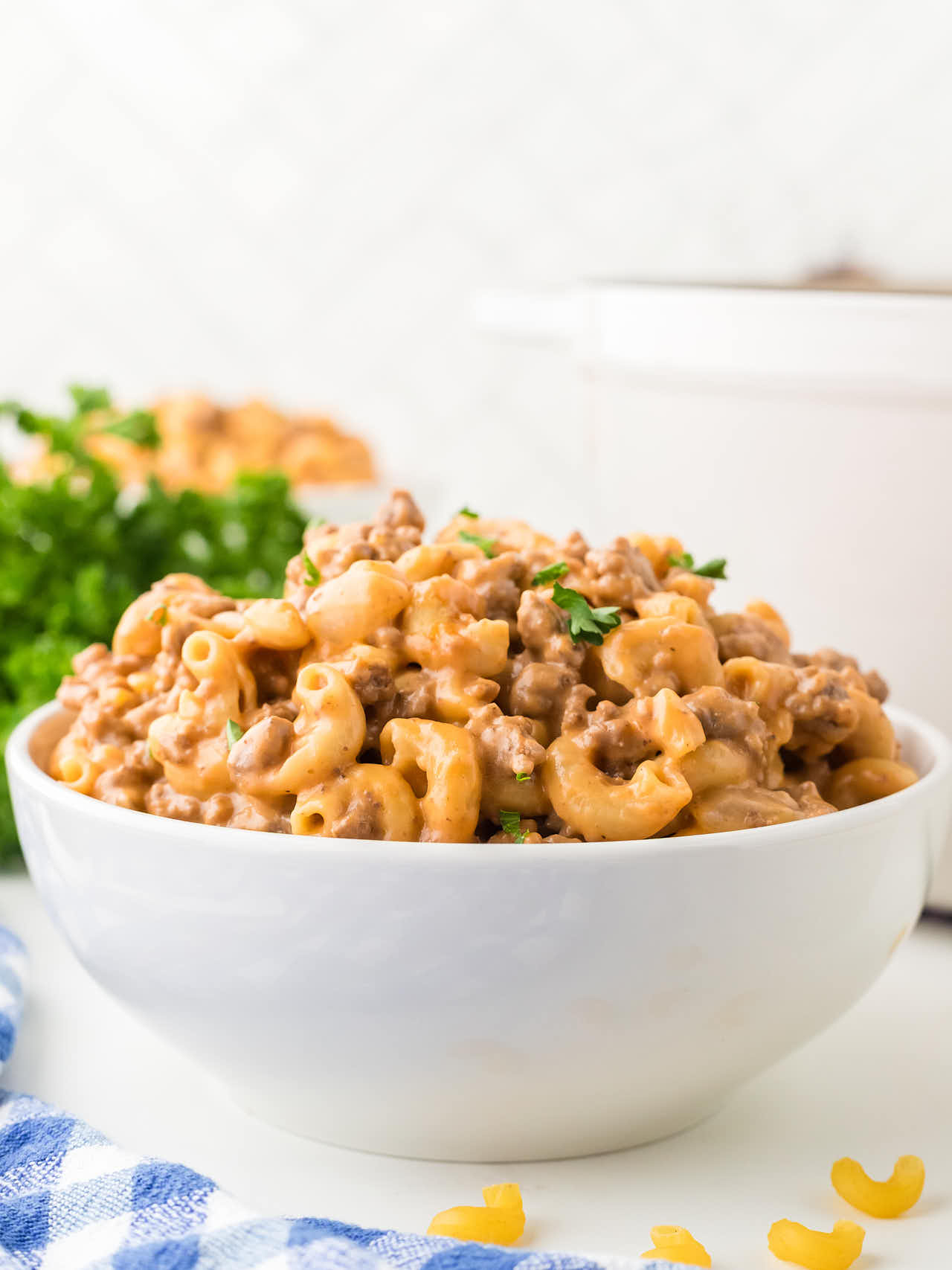 Hamburger Helper served in a white bowl.