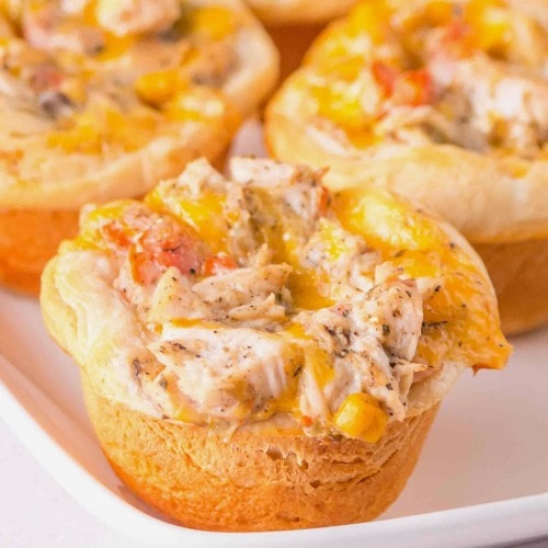 Closeup of a Mini Chicken Pot Pie.