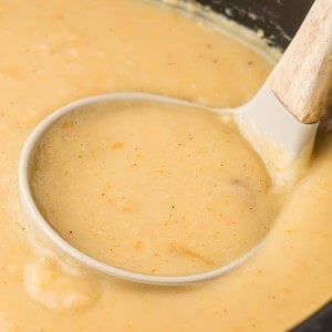 A ladle in a Crockpot scooping out Potato Leek Soup.