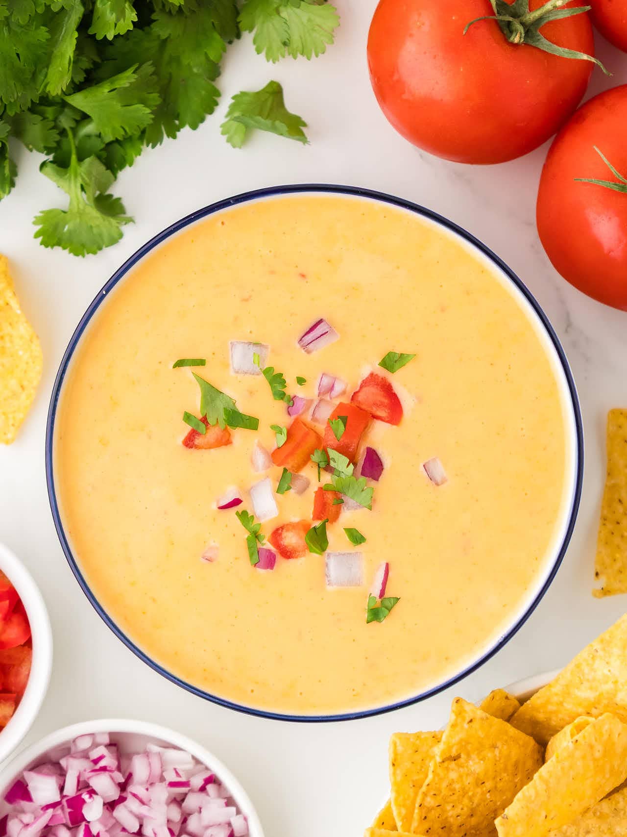 Bowl of queso dip topped with diced tomato, red onion, and cilantro, surrounded by fresh tomatoes, cilantro, and tortilla chips.