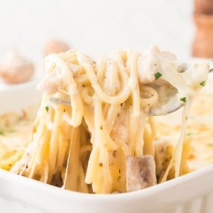 Cheesy Turkey Tetrazzini with spaghetti noodles, mushrooms, and creamy sauce lifted from a white baking dish.
