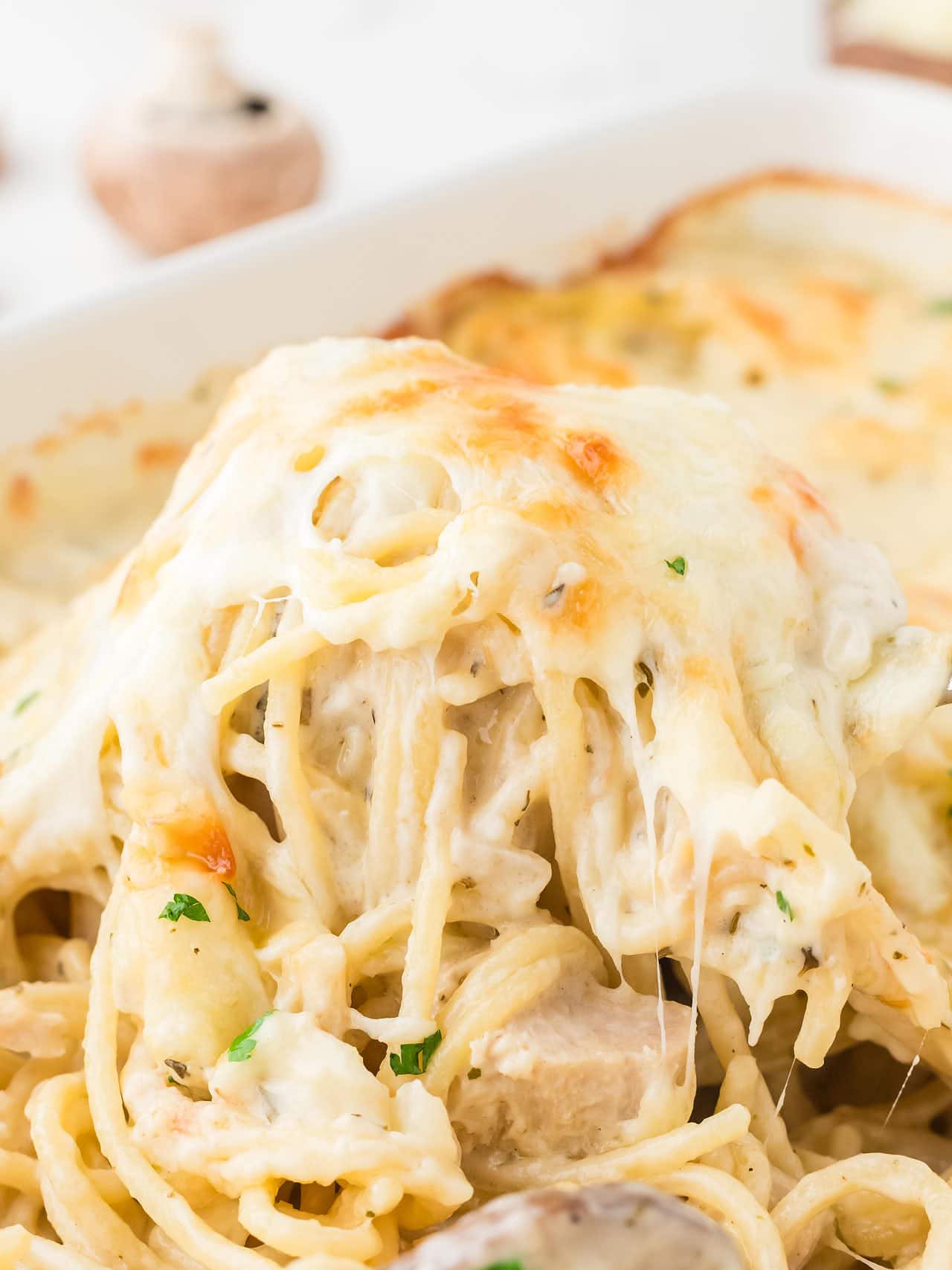 Creamy Turkey Tetrazzini with spaghetti, turkey, mushrooms, and melted cheese being served from the pan.