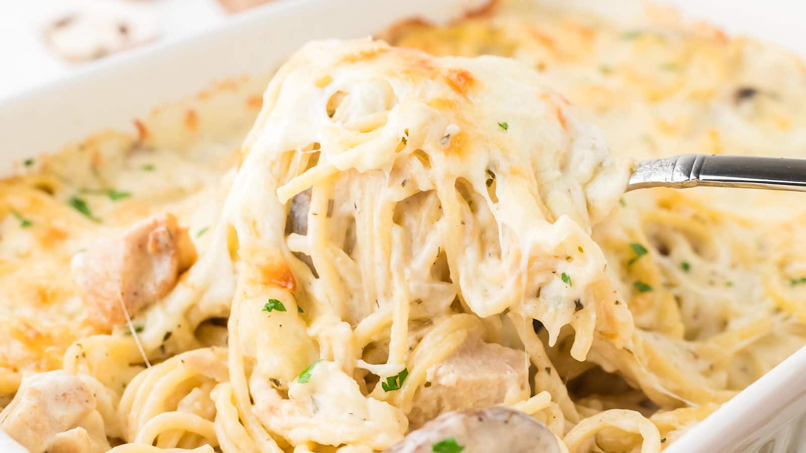 Turkey Tetrazzini recipe by Cheerful Cook.