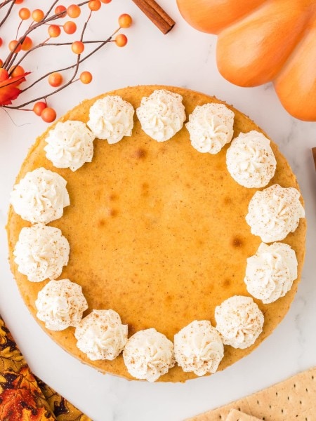 Pumpkin Cheesecake