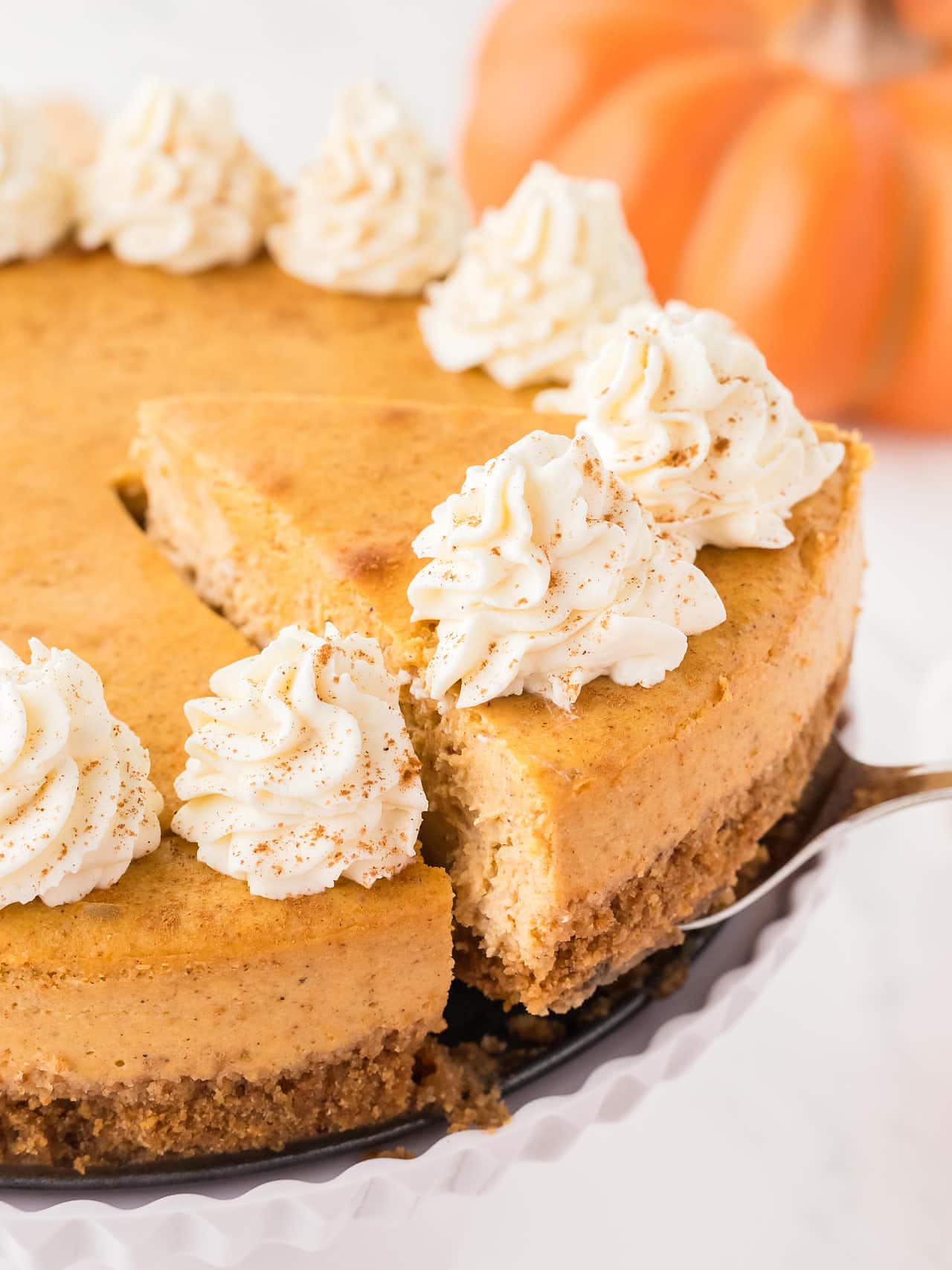 Slice of Pumpkin Cheesecake with whipped cream on a graham cracker crust.