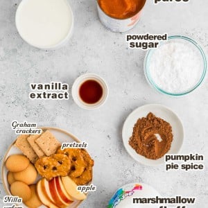Ingredients needed to make a Pumpkin Dip.
