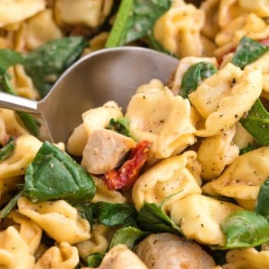 Spoonful of Marry Me Chicken Tortellini with creamy pasta, spinach, sun-dried tomatoes, and chicken.