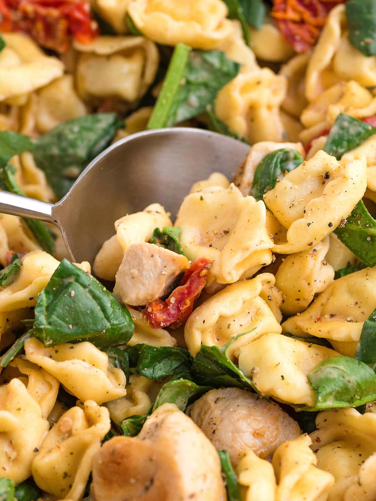 Spoonful of Marry Me Chicken Tortellini with creamy pasta, spinach, sun-dried tomatoes, and chicken.