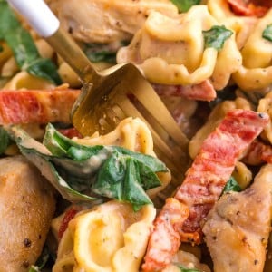 Close-up of Marry Me Chicken Tortellini with creamy sauce, spinach, sun-dried tomatoes, and chicken.