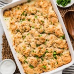 Chicken Cobbler in a white baking dish topped with golden biscuits and fresh parsley.