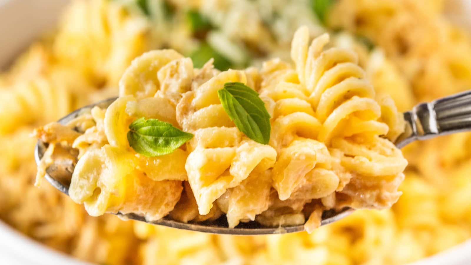 Close up of a spoonful of creamy Olive Garden Chicken Pasta.