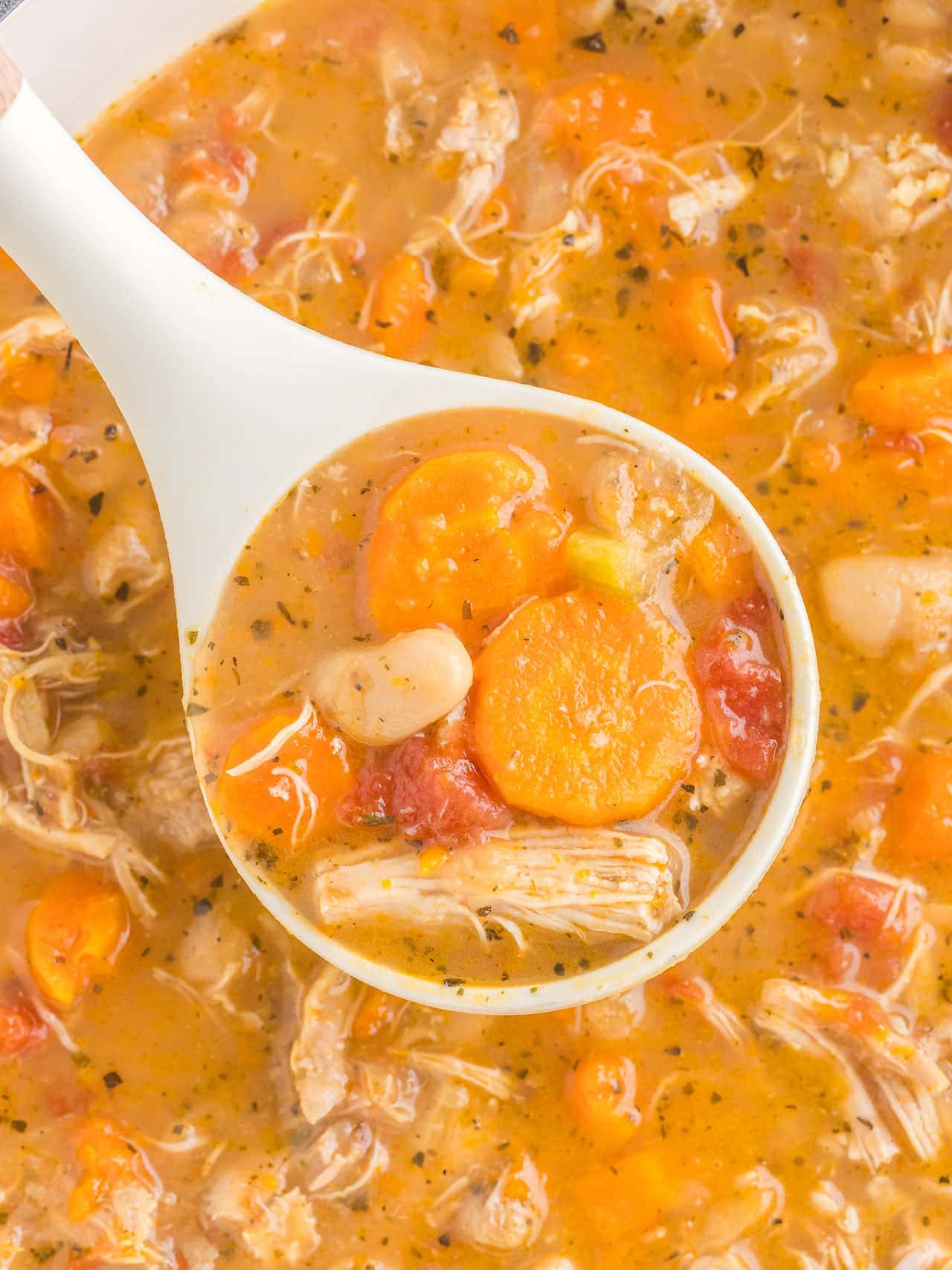 Close-up of a ladle holding carrot coins, a cannellini bean, diced tomato and shredded chicken.