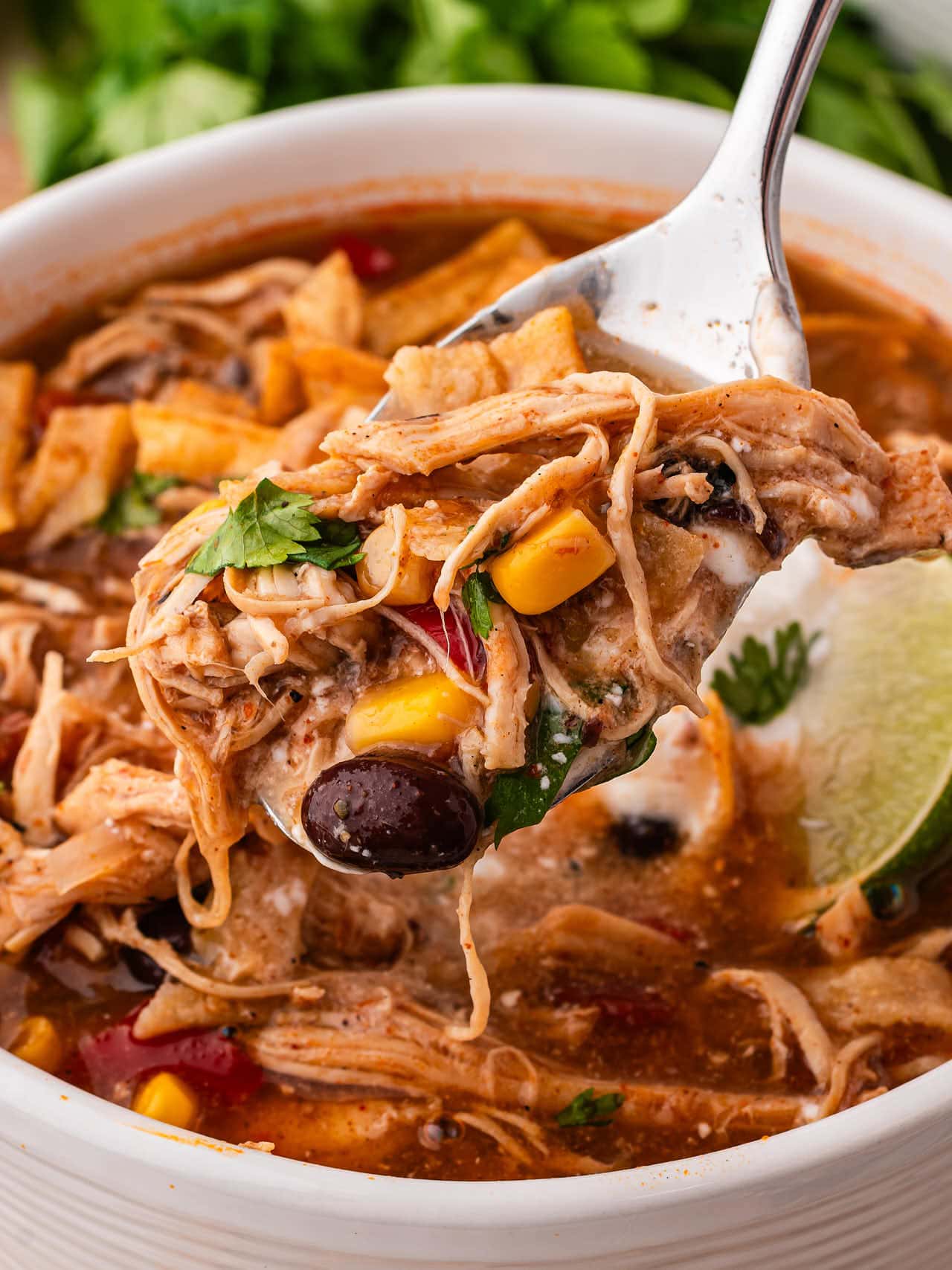 A spoonful of Crockpot Chicken Enchilada Soup with shredded chicken, corn and a black bean, lifted from a bowl topped with tortilla strips.