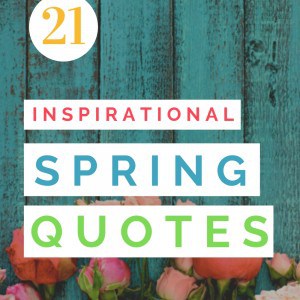 The nest Spring Quotes