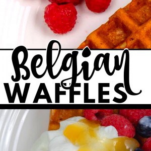 The BEST gluten-free Belgian Waffle Recipe