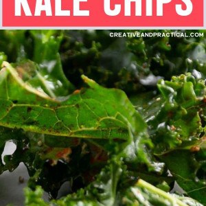 Roasted Kale Chips Recipe