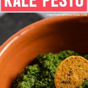 bowl of kale pesto with a sweet potato cracker for snacking