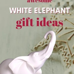 Awesome White Elephant Gift Ideas for your next Party