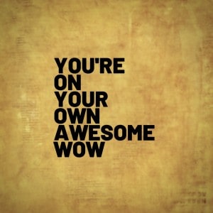 You're On Your Own Awesome Wow, Hamilton The Musical
