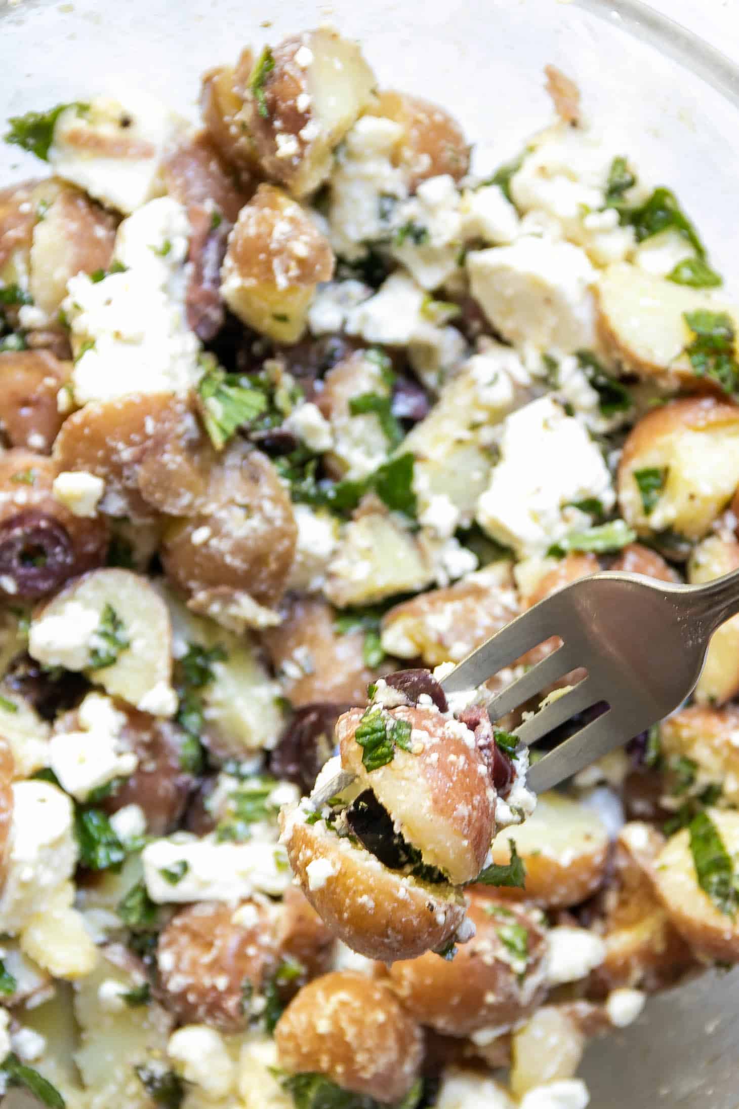 A spoonful of Greek Potato Salad