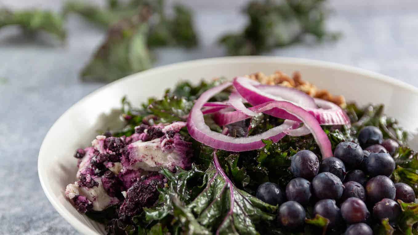 Kale Blueberry Salad