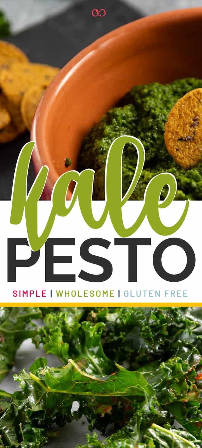 Super Simple. Kale and Walnut Pesto perfect for pasta, dips, and spreads. #kalepesto #recipe #salad #healthy #chicken #best #blenderfood  ♡ cheerfulcook.com via @cheerfulcook