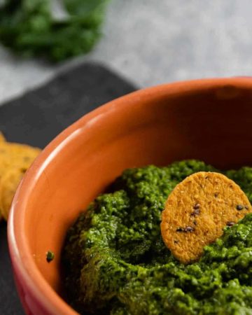bowl of kale pesto with a sweet potato cracker for snacking