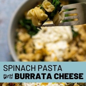 Burrata Spinach Pasta Recipe