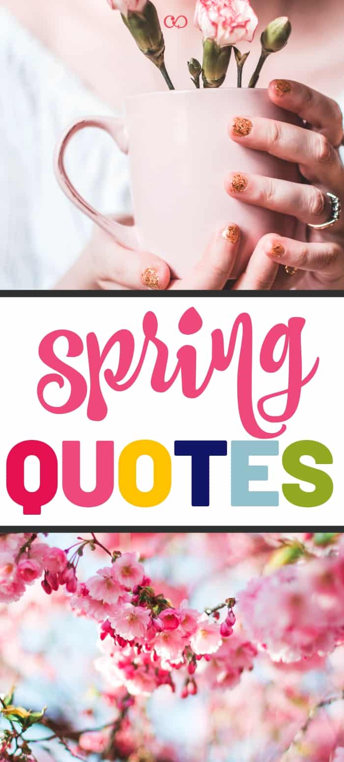 21 Inspirational quotes to celebrate spring! #quotes #springquotes #inspirational #newbeginnings #quotes #flowers ♡ cheerfulcook.com via @cheerfulcook