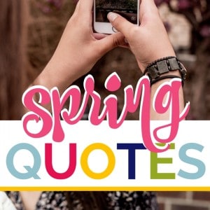 The best Spring Quotes