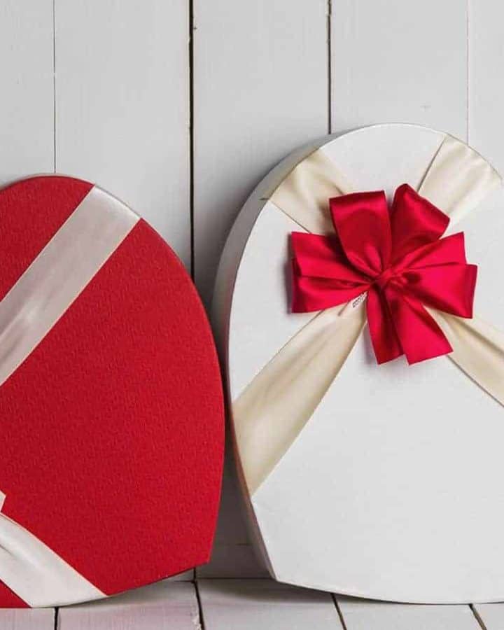 Gift Guides Archives - The Cheerful Cook